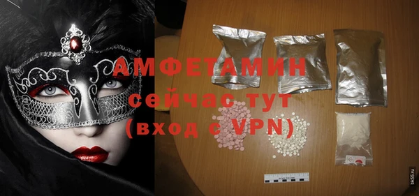 гидра Карпинск