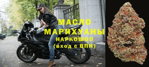 гидра Карпинск