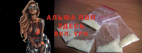 мет Касимов