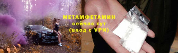 гидра Карпинск