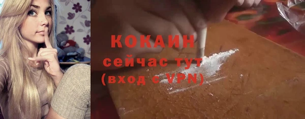 гидра Карпинск