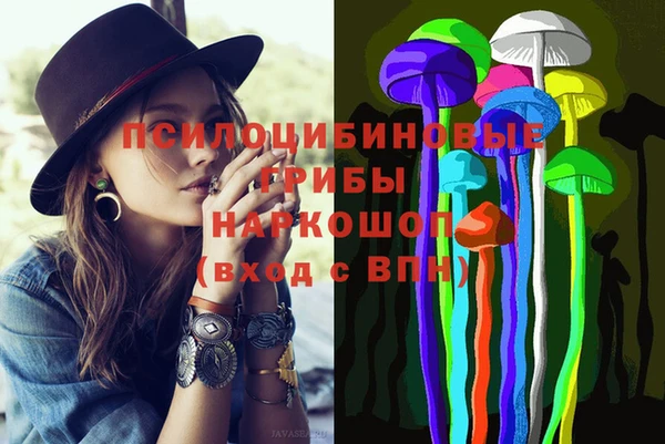 мет Касимов