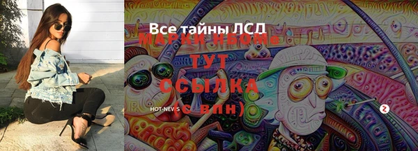 гидра Карпинск