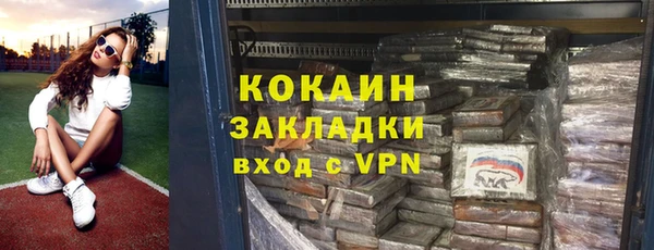 гидра Карпинск