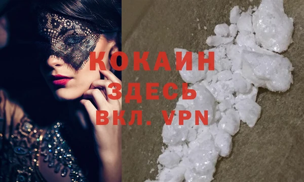 мет Касимов