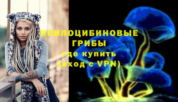 гидра Карпинск