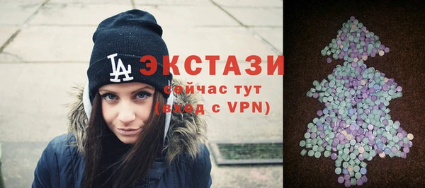 гидра Карпинск