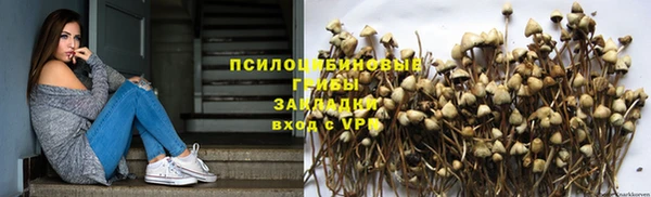 гидра Карпинск