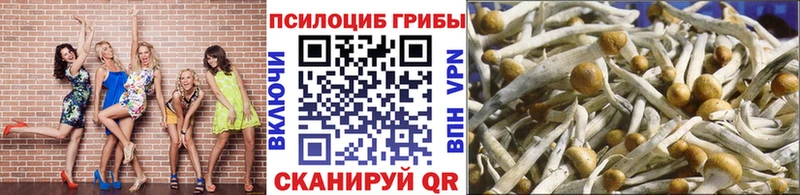 купить наркотик  Невинномысск  OMG tor  Галлюциногенные грибы GOLDEN TEACHER 